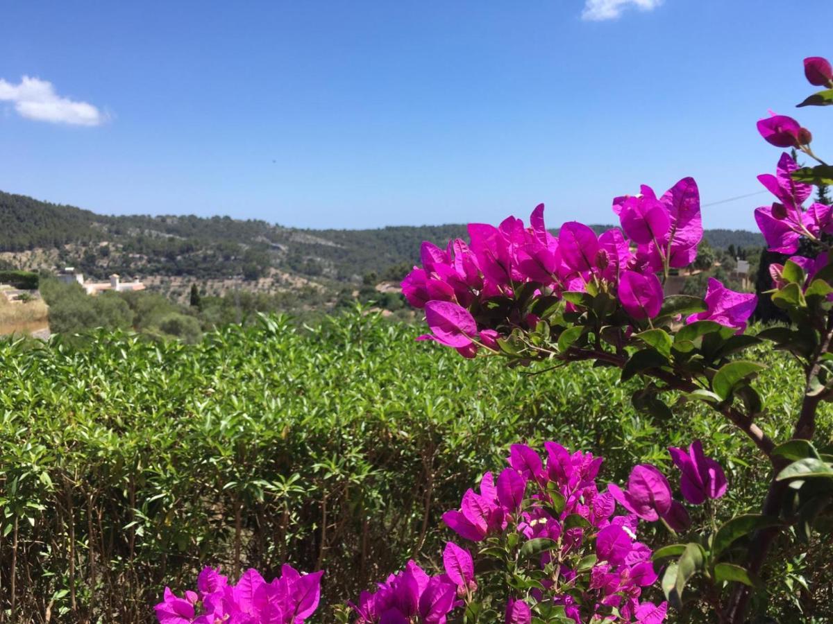 Wunderschoene Ruhige Mit Pool In Galilea